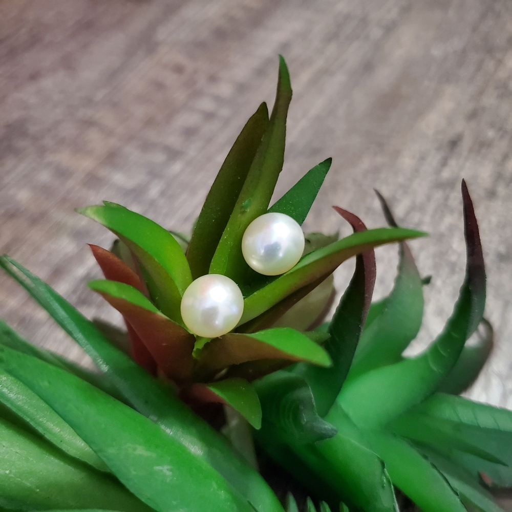 Genuine White Pearl Studs SS Freshwater Pearls